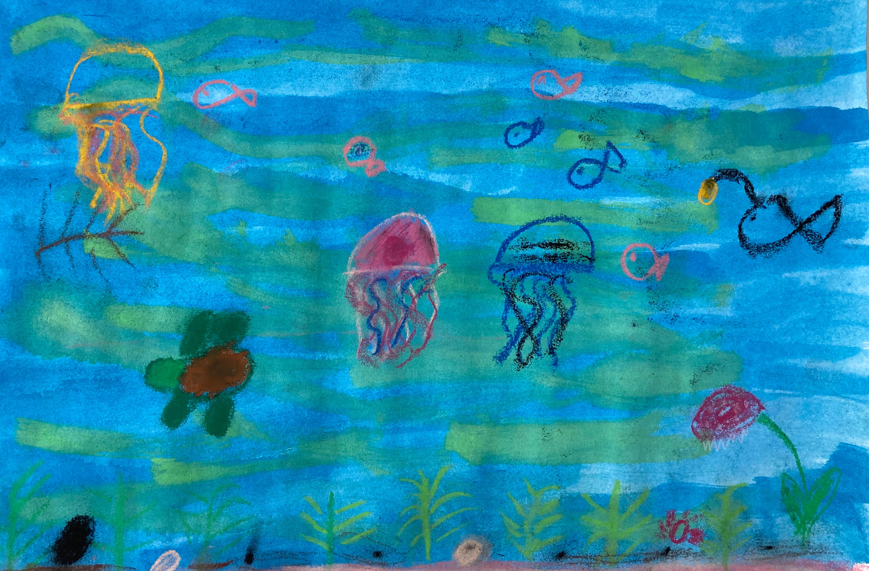 Quallenbilder 1
