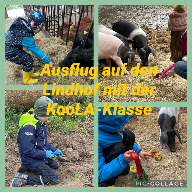 KooLA Bilder