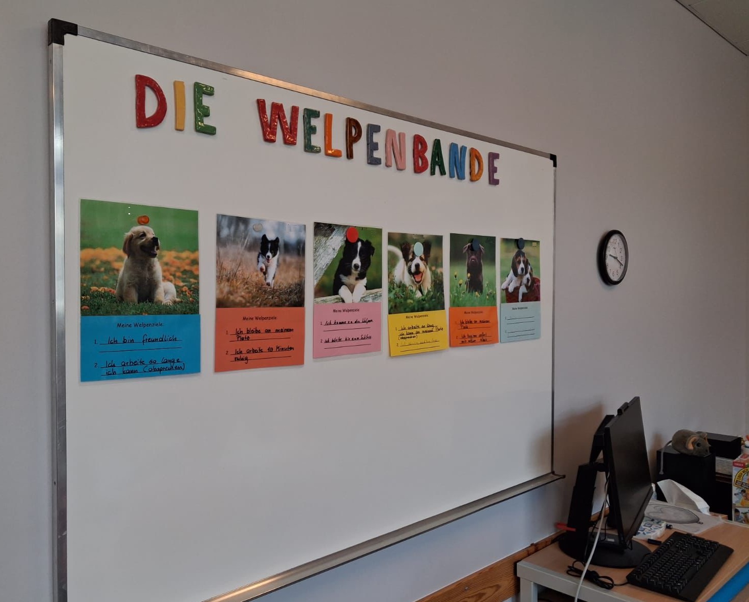 Welpengruppe1